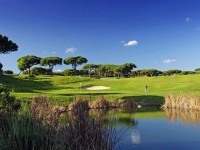 Sunny Lounge Apartment