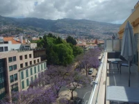 Molhe Apartments - Elias Garcia