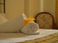 Penthouse Terrace View