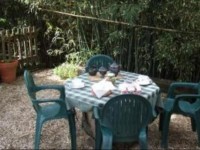 Akisol Ericeira Star