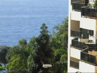 Slice of Paradise in Madeira Island