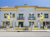 Next Level Surf Camp