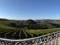 Quinta dos Espinheiros - Casa de Turismo