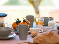 Vale do Ninho Houses