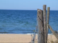 Apartament Neptun Park