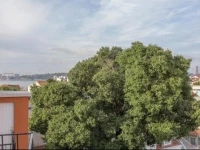 Caetano Palha Apartment