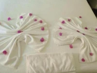 Diana Suite Hotel Fethiye 4*