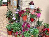 Angelina Guest House Krupskaya Street 2*