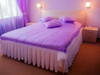 Druzhba Pushkinskie Gory Hotel