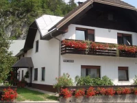 Apartments Gregorc 3*