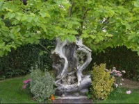 Rostohar Guest House