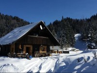 Apartment near Pokljuka
