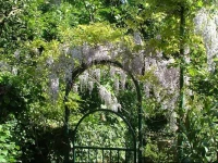 Apartments Olive Garden