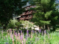 Hotel Alpina 2*