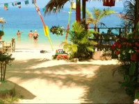 King Busch Reggae Beach