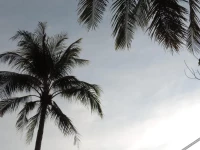 Lazy Days Bungalows 4*