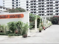 Money Motel 1*