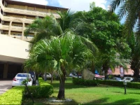 View Talay Residence Condo 3