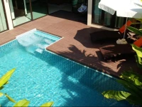 Plunge Tropical Villa