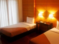 Paragon Villa Hotel 3*