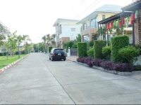 Nature in Chiang Mai