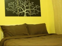 North Park Condominium