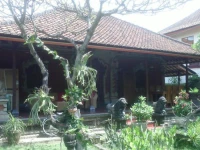 Rita Homestay 1*