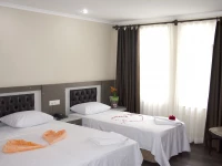 Ayhan Hotel 3*