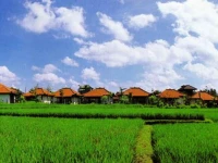 Villa Chempaka Hotel 3*