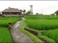 Ketekung Bungalow 3*