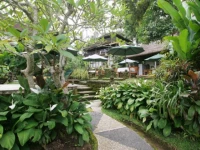 Sayan Terrace Resort Bali 3*