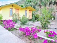 Felix Bungalow Hotel