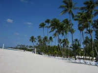 Plaza Real Resort 3*