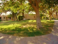 Kibbutz Eilot Country Lodging 3*