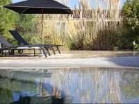 La Vigne de Ramatuelle