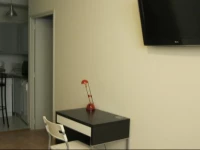 Lyon Ancienne Prefecture