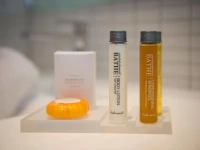 La Vague de Saint Paul 4*