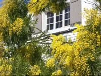 Le Monteiller de Saint Paul