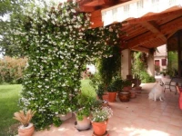 La feniere aux hirondelles