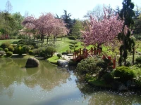 Appartement Universite-Capitole