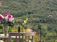 Apartment The Sunflowers