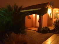 Les Cypres Florentins