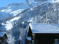 Ferienwohnung Steber 4*