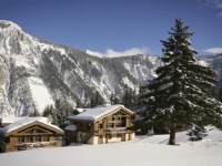 Chalet Marmotte 4*
