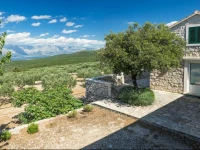 Pipo Holiday Home 3*