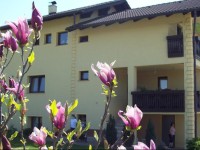 Ivsic Guest House 1*