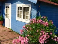 Lodge Olive Mountain