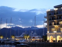 Acacia Hill Djenovici