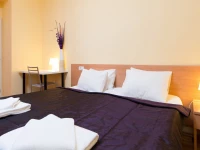 Vlkova Residence Praha 4*