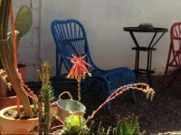 Siete Colores Hostel